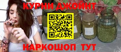 сатива Лесосибирск