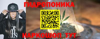 сатива Лесосибирск